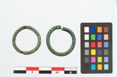 Foto von Bronzering (NHMW-PRAE-026271)